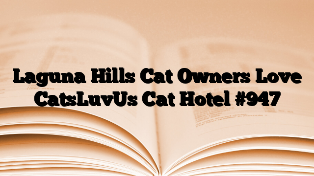 Laguna Hills Cat Owners Love CatsLuvUs Cat Hotel