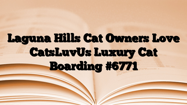Laguna Hills Cat Owners Love CatsLuvUs Luxury Cat Boarding