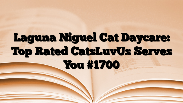 Laguna Niguel Cat Daycare: Top Rated CatsLuvUs Serves You