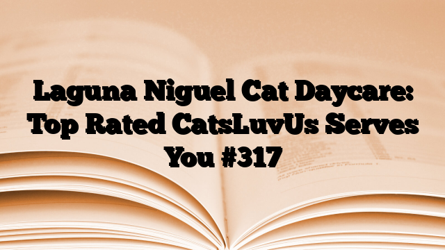 Laguna Niguel Cat Daycare: Top Rated CatsLuvUs Serves You