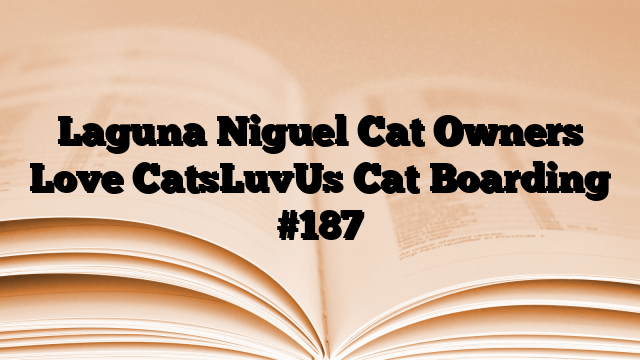 Laguna Niguel Cat Owners Love CatsLuvUs Cat Boarding