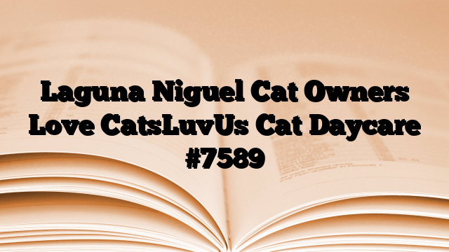 Laguna Niguel Cat Owners Love CatsLuvUs Cat Daycare