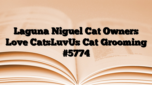 Laguna Niguel Cat Owners Love CatsLuvUs Cat Grooming