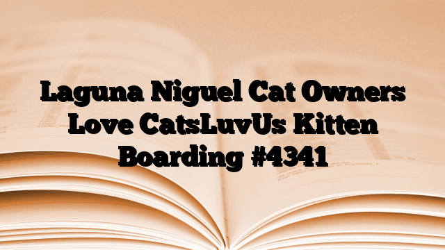 Laguna Niguel Cat Owners Love CatsLuvUs Kitten Boarding