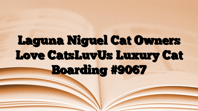 Laguna Niguel Cat Owners Love CatsLuvUs Luxury Cat Boarding