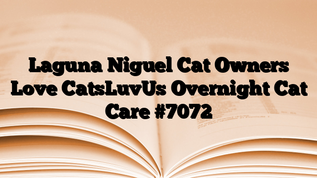 Laguna Niguel Cat Owners Love CatsLuvUs Overnight Cat Care