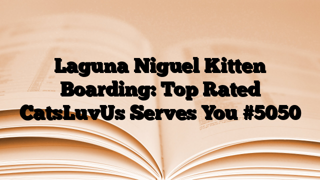 Laguna Niguel Kitten Boarding: Top Rated CatsLuvUs Serves You