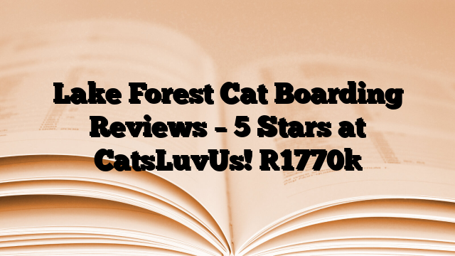Lake Forest Cat Boarding Reviews – 5 Stars at CatsLuvUs!