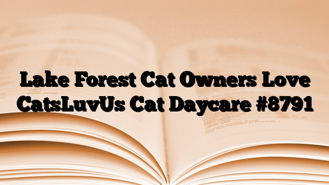 Lake Forest Cat Owners Love CatsLuvUs Cat Daycare