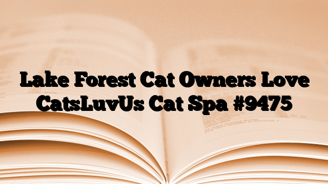 Lake Forest Cat Owners Love CatsLuvUs Cat Spa