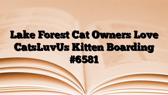 Lake Forest Cat Owners Love CatsLuvUs Kitten Boarding