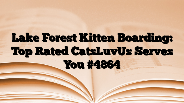 Lake Forest Kitten Boarding: Top Rated CatsLuvUs Serves You