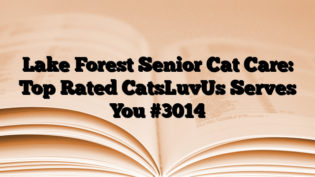 Lake Forest Senior Cat Care: Top Rated CatsLuvUs Serves You