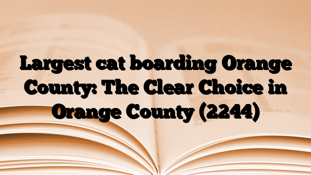 Largest cat boarding Orange County: The Clear Choice in Orange County