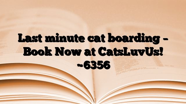 Last minute cat boarding – Book Now at CatsLuvUs!