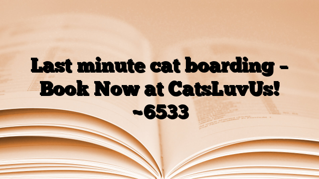 Last minute cat boarding – Book Now at CatsLuvUs!