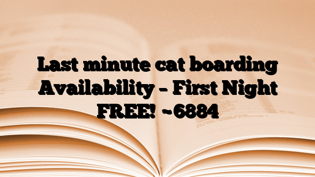 Last minute cat boarding Availability – First Night FREE!