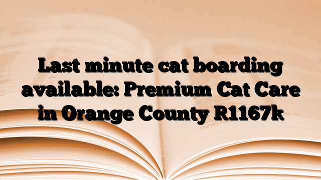 Last minute cat boarding available: Premium Cat Care in Orange County