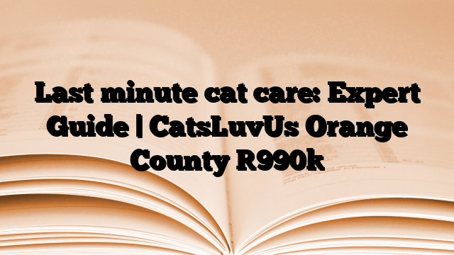 Last minute cat care: Expert Guide | CatsLuvUs Orange County