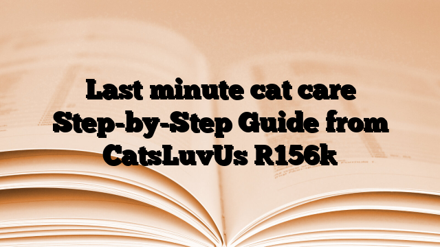 Last minute cat care Step-by-Step Guide from CatsLuvUs