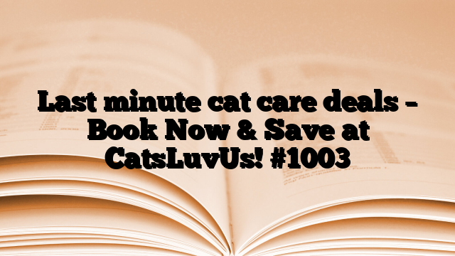 Last minute cat care deals – Book Now & Save at CatsLuvUs!
