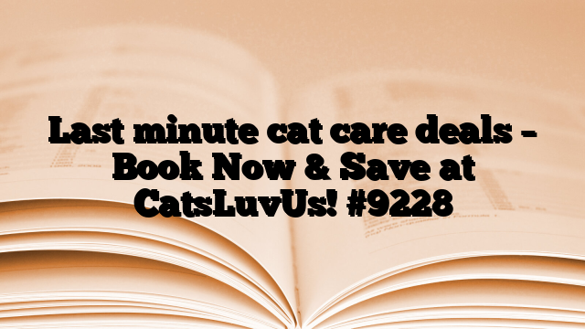 Last minute cat care deals – Book Now & Save at CatsLuvUs!