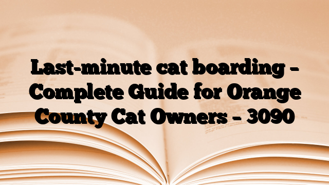 Last-minute cat boarding – Complete Guide for Orange County Cat Owners