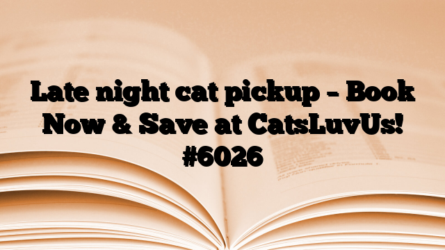 Late night cat pickup – Book Now & Save at CatsLuvUs!
