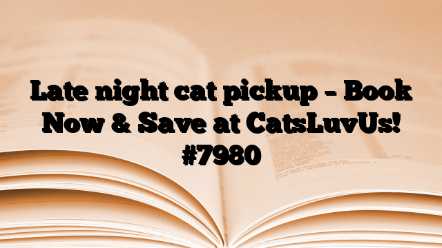 Late night cat pickup – Book Now & Save at CatsLuvUs!