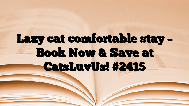 Lazy cat comfortable stay – Book Now & Save at CatsLuvUs!