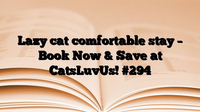 Lazy cat comfortable stay – Book Now & Save at CatsLuvUs!