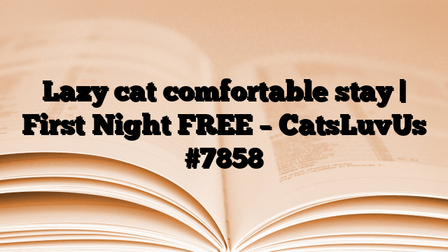 Lazy cat comfortable stay | First Night FREE – CatsLuvUs