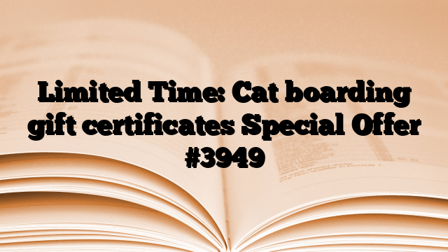 Limited Time: Cat boarding gift certificates Special Offer