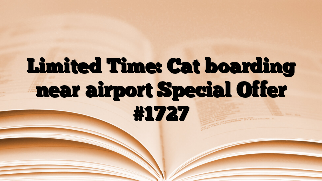 Limited Time: Cat boarding near airport Special Offer