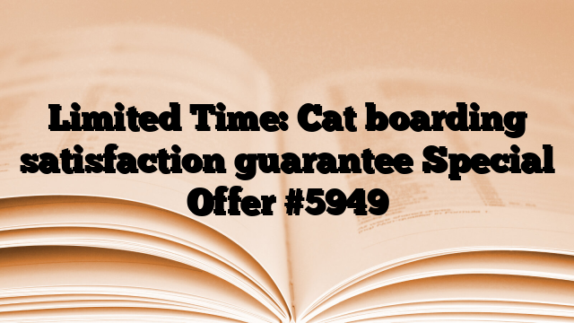 Limited Time: Cat boarding satisfaction guarantee Special Offer