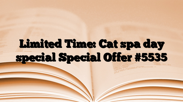 Limited Time: Cat spa day special Special Offer