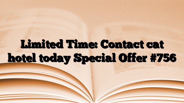 Limited Time: Contact cat hotel today Special Offer