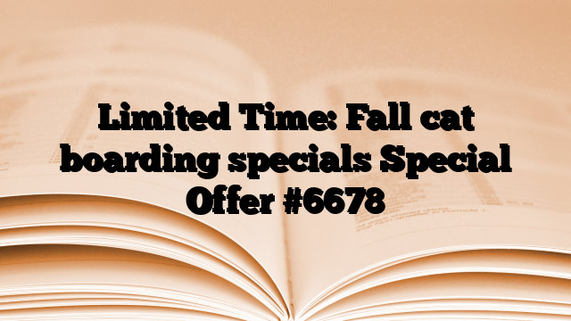 Limited Time: Fall cat boarding specials Special Offer