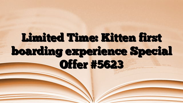 Limited Time: Kitten first boarding experience Special Offer