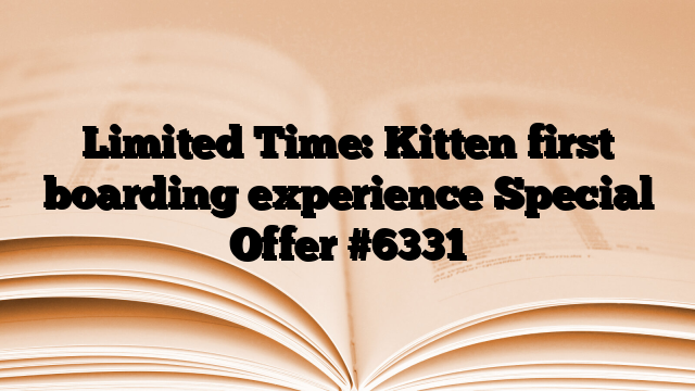 Limited Time: Kitten first boarding experience Special Offer