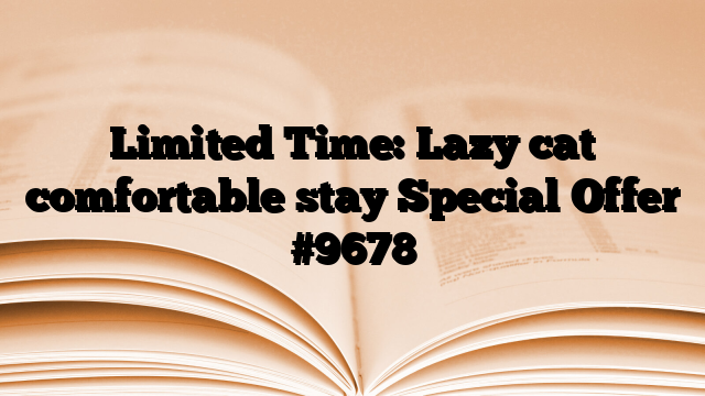 Limited Time: Lazy cat comfortable stay Special Offer
