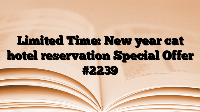 Limited Time: New year cat hotel reservation Special Offer