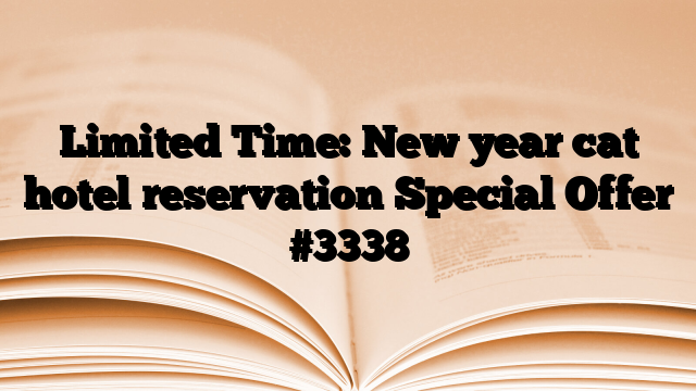 Limited Time: New year cat hotel reservation Special Offer