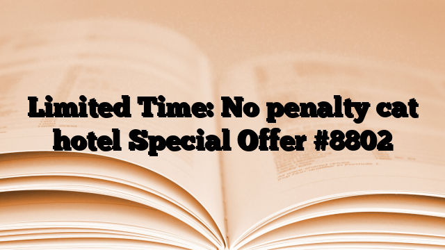 Limited Time: No penalty cat hotel Special Offer