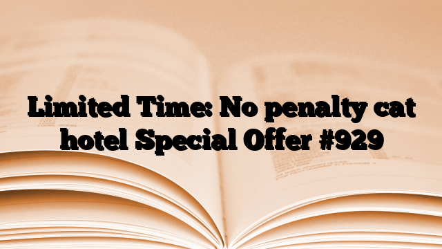 Limited Time: No penalty cat hotel Special Offer