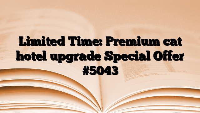 Limited Time: Premium cat hotel upgrade Special Offer
