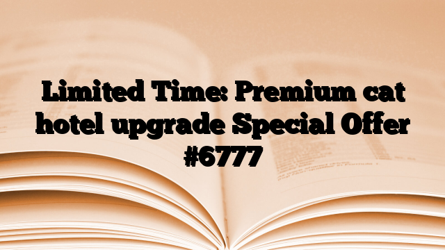 Limited Time: Premium cat hotel upgrade Special Offer