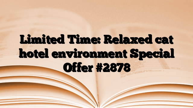 Limited Time: Relaxed cat hotel environment Special Offer
