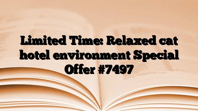 Limited Time: Relaxed cat hotel environment Special Offer