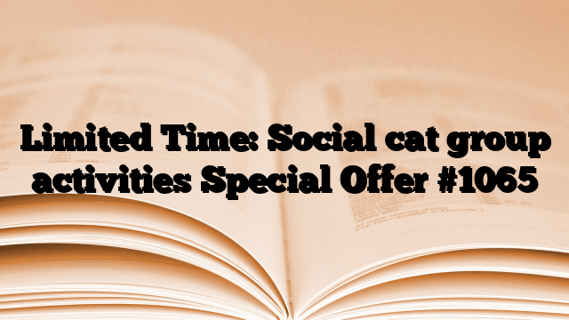 Limited Time: Social cat group activities Special Offer